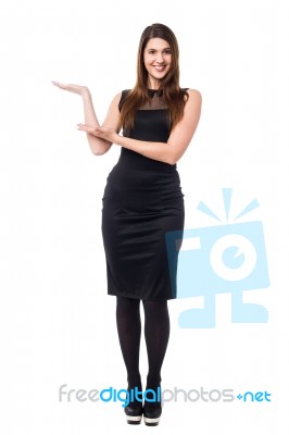 Business Woman Presenting Something On Her Hand Stock Photo