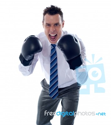 Businessman Wearing Boxing Gloves Stock Photo