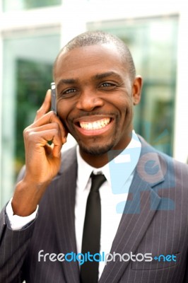 Businessman With Mobile Stock Photo