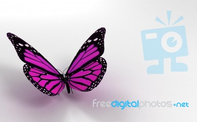 Butterfly In 3D Stock Photo