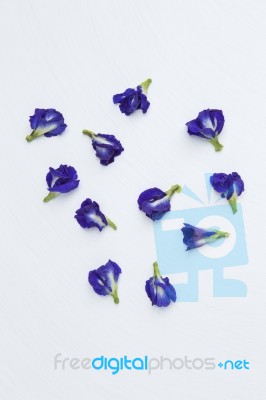 Butterfly Pea On White Texture Background Stock Photo