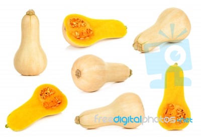 Butternut Squash Isoalted On The White Stock Photo