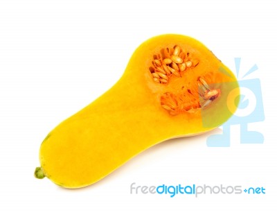 Butternut Squash Isolated Stock Photo