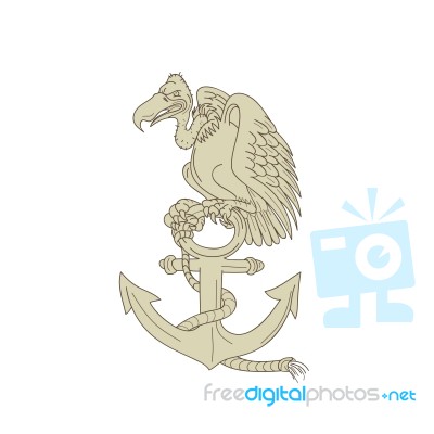 Buzzard Perching Navy Anchor Cartoon Stock Image