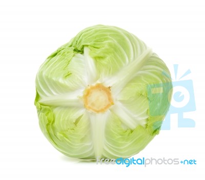 Cabbage Isolated On The White Background Stock Photo