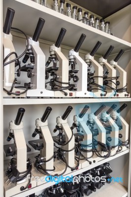Cabinet With Rows Of Microscopes On High School Stock Photo