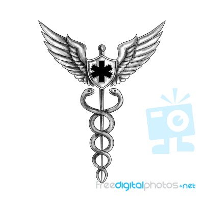 Caduceus Pilot Wings Emt Star Tattoo Stock Image