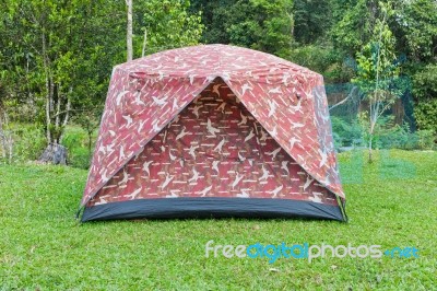 Camping Tent In The Mountains Stock Photo