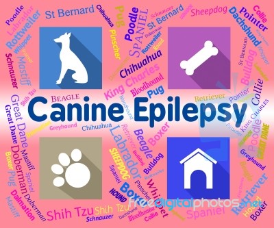 Canine Epilepsy Means Dog And Puppies Fits Stock Image
