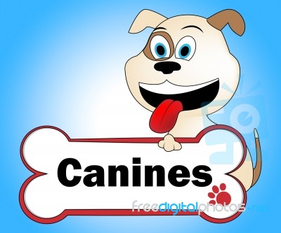 Canine With Bone Indicates Pups Pedigree And Pet Stock Image Canine With Bone Indicates Pups Pedigree And Pet Stock Image