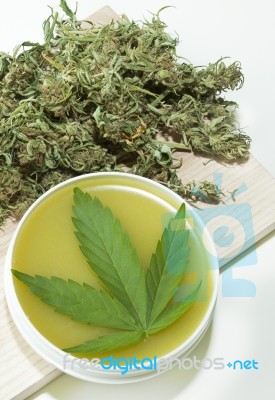 Cannabis Healing Ointment And Marijuana Green Leaf And Seeds Stock Photo