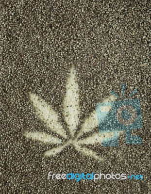 Cannabis Hemp Seeds Leaf Close Up Background Stock Photo