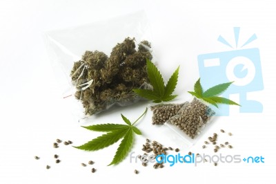 Cannabis Medicine Bag Green Leaves Raw Hemp Seeds Stock Photo
