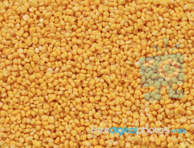 Canned Corn Stock Photo