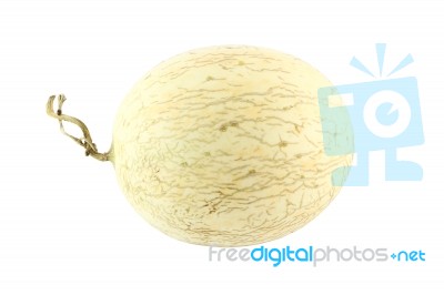 Cantaloupe Melon Oval Left Head On White Background Stock Photo