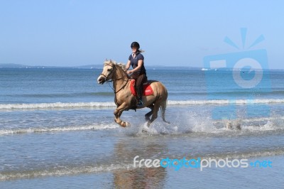 Cantering A Horse In The Sea Stock Photo