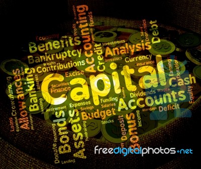 Capital Word Shows Rich Asset And Affluence Stock Image