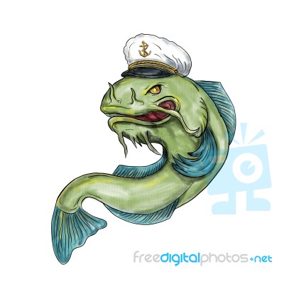 Captain Catfish Tattoo Stock Image