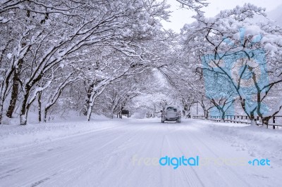 Car And Falling Snow In Winter On Forest Road With Much Snow Stock Photo