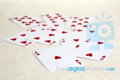 Card Gambling Stock Photo