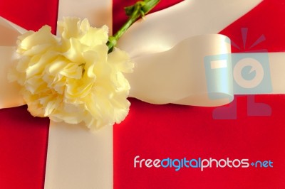 Carnation On Present Box Stock Photo