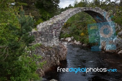 Carrbridge, Badenoch And Strathspey/scotland - May 21 : Packhors… Stock Photo