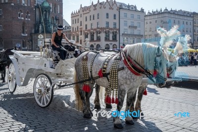 Carriage And Horses In Krakow Stock Photo