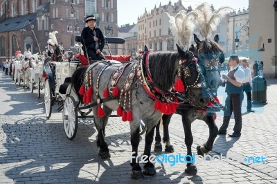 Carriage And Horses In Krakow Stock Photo