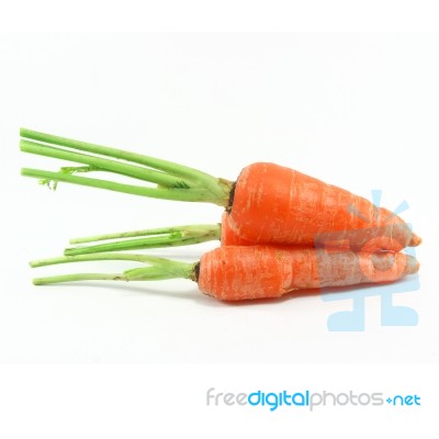 Carrot Stock Photo