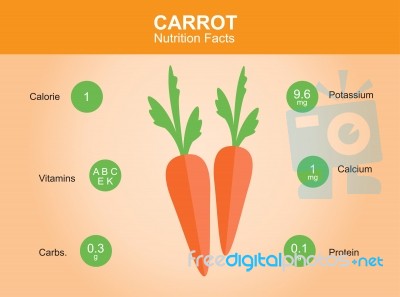 Carrot Nutrition Facts, Carrot With Information, Carrot Stock Image