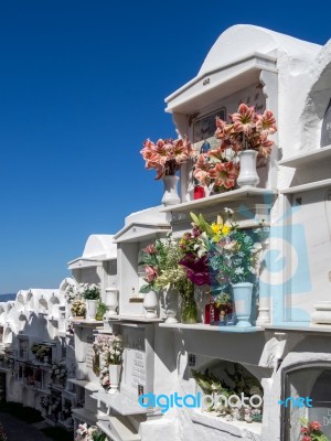 Casares, Andalucia/spain - May 5 : View Of The Cemetery In Casar… Stock Photo