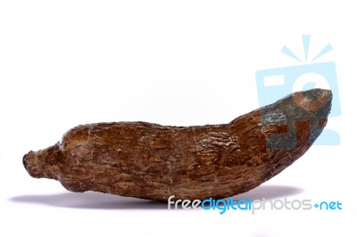 Cassava Root Stock Photo