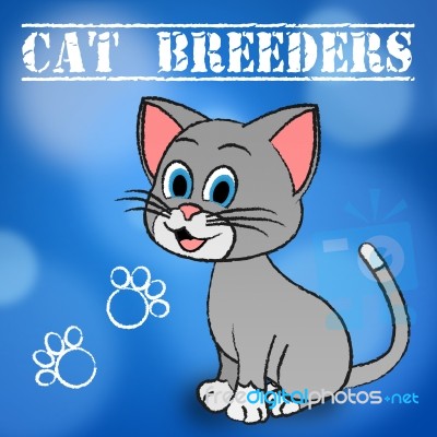 Cat Breeders Represents Husbandry Reproducing And Mate Stock Image