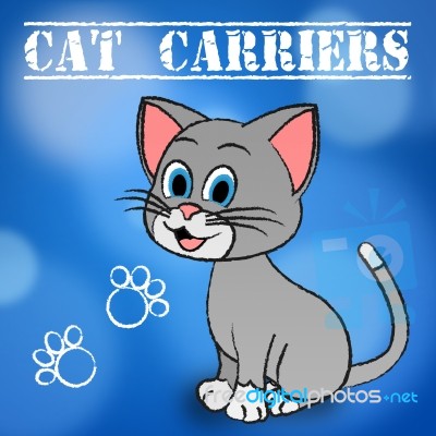 Cat Carriers Indicates Container Box And Kitten Stock Image