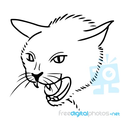 Cat Hand Drawn Stock Image