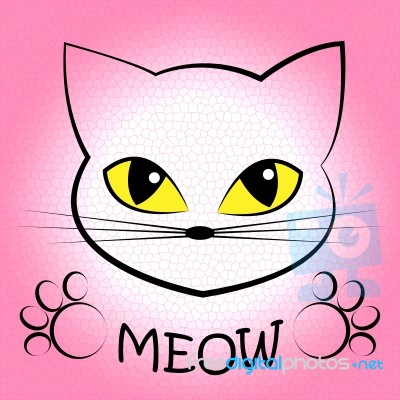 Cat Meow Means Feline Noise And Sound Stock Image