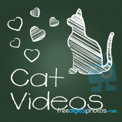 Cat Videos Represents Audio Visual And Cats Stock Image