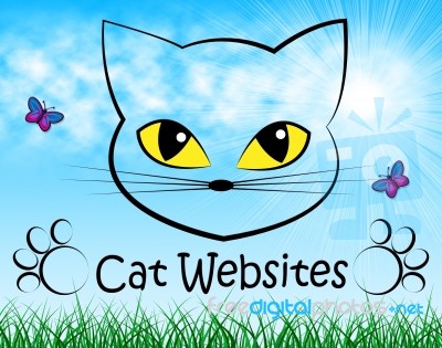 Cat Websites Indicates Cats Kitten And Puss Stock Image