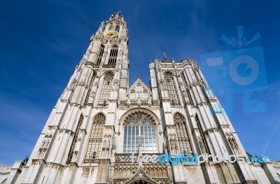 Cathedral Of Our Lady In Antwerp, Belgium Stock Photo