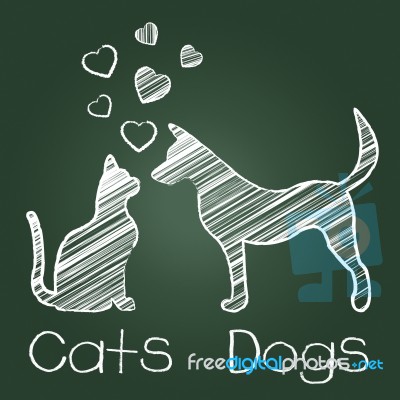 Cats Dogs Love Shows Compassion Puppy And Kitty Stock Image Cats Dogs Love Shows Compassion Puppy And Kitty Stock Image