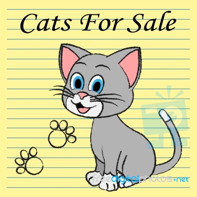 Cats For Sale Means On Market And Buy Stock Image