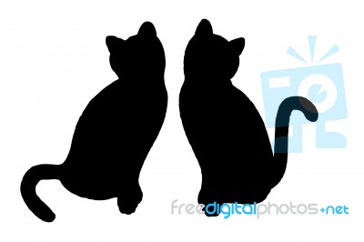 Cats On White Background Stock Image