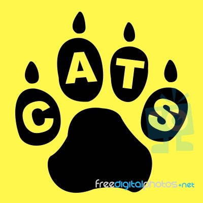 Cats Paw Represents Pet Care And Feline Stock Image