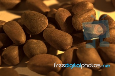 Cedar Nuts Stock Photo