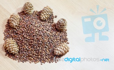 Cedar Nuts And Cones Stock Photo