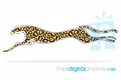 Cheetah Stock Image