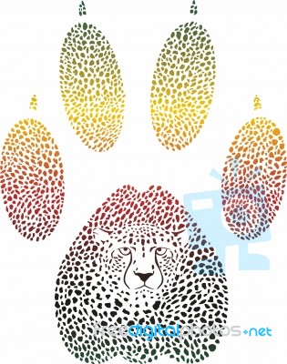 Cheetah Color Footprint Stock Image