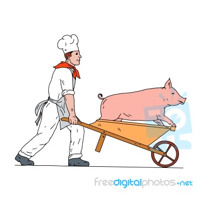 Chef Pushing Wheelbarrow And Pig Color Drawing Stock Image
