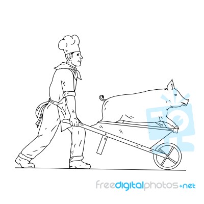 Chef With Wheelbarrow And Pig Drawing Black And White Stock Image