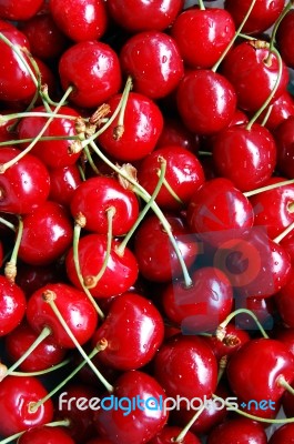 Cherries Stock Photo